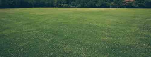 grass landscape soccer field