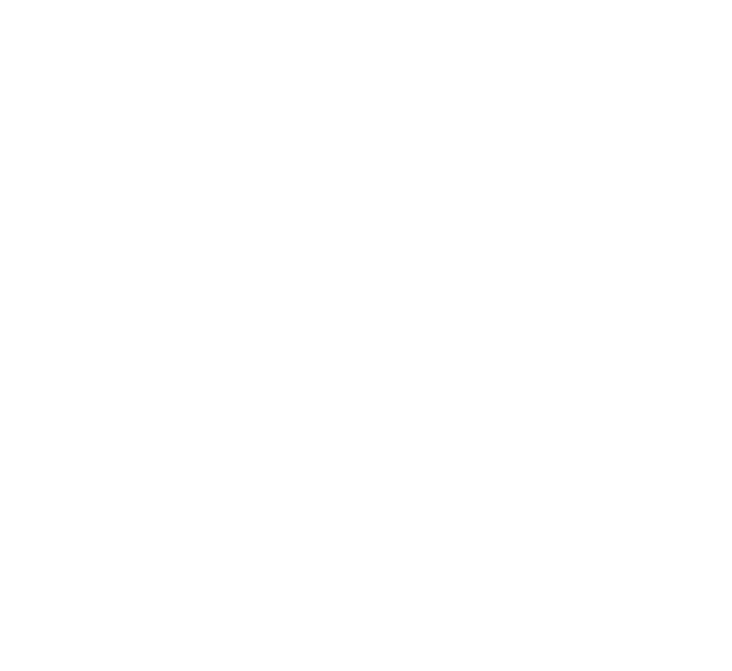 CUSTOMIZED AUTOMATED WORKFLOWS